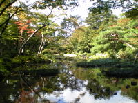 廻遊式庭園