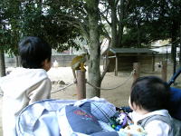 RXU