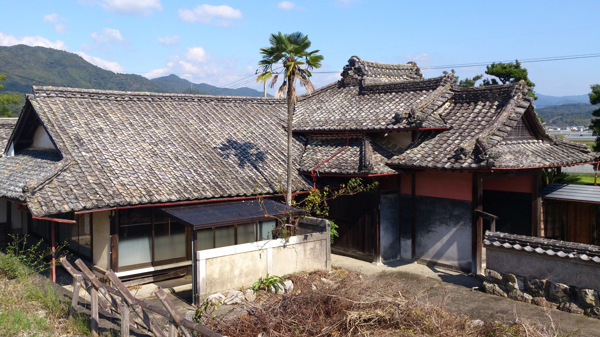 画像6