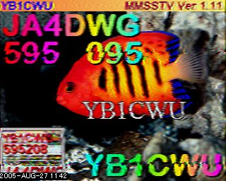 YB1CWU
