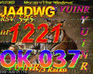 YU1NR