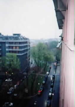 �h�������z�e���̑��������o���Ă���q������