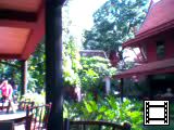 �W���g���v�\���̉�