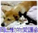 岡山動物愛護会のウエッブサイトです